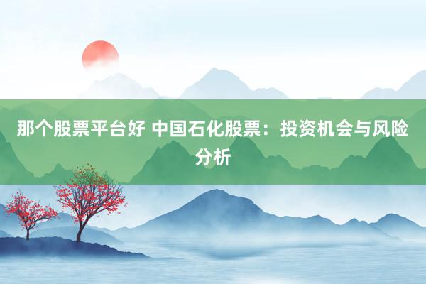 那个股票平台好 中国石化股票：投资机会与风险分析