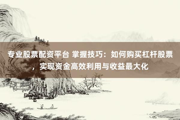 专业股票配资平台 掌握技巧：如何购买杠杆股票，实现资金高效利用与收益最大化