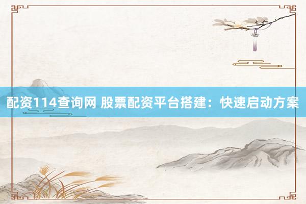 配资114查询网 股票配资平台搭建：快速启动方案