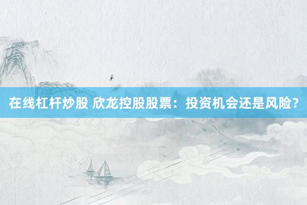 在线杠杆炒股 欣龙控股股票：投资机会还是风险？