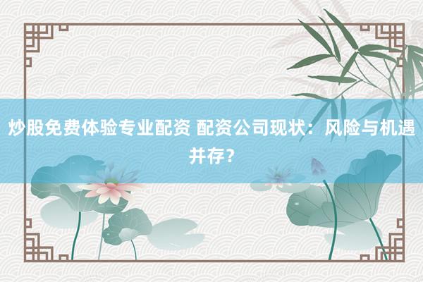 炒股免费体验专业配资 配资公司现状：风险与机遇并存？