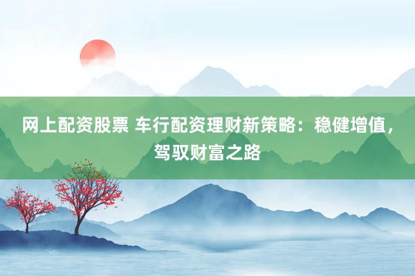 网上配资股票 车行配资理财新策略：稳健增值，驾驭财富之路