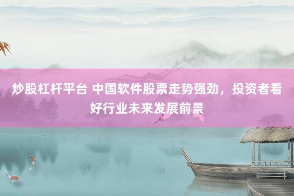 炒股杠杆平台 中国软件股票走势强劲，投资者看好行业未来发展前景