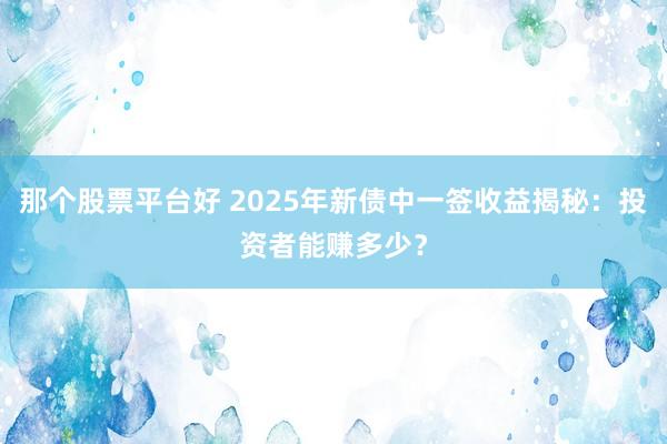那个股票平台好 2025年新债中一签收益揭秘：投资者能赚多少？