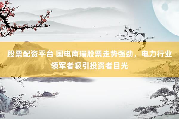 股票配资平台 国电南瑞股票走势强劲，电力行业领军者吸引投资者目光