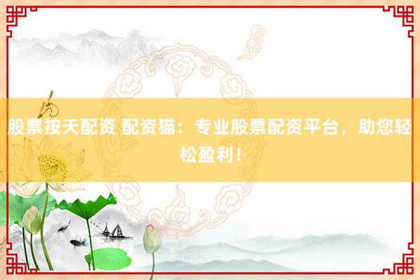 股票按天配资 配资猫:专业股票配资平台,助您轻松盈利!