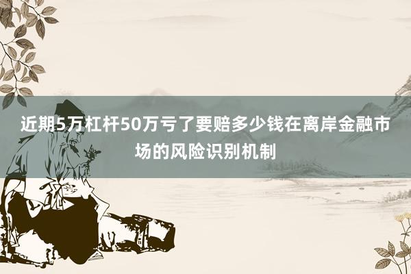 近期5万杠杆50万亏了要赔多少钱在离岸金融市场的风险识别机制
