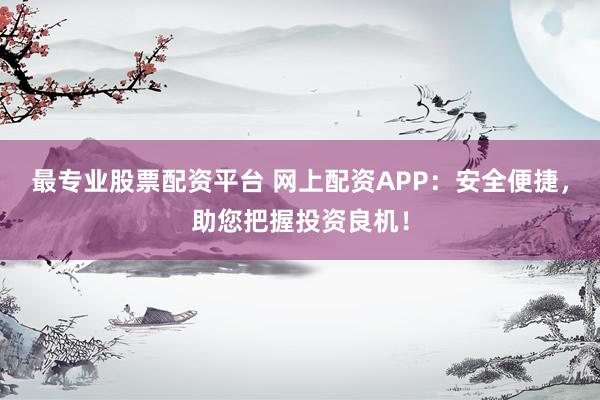 最专业股票配资平台 网上配资APP：安全便捷，助您把握投资良机！