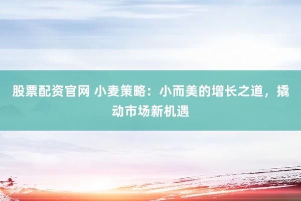 股票配资官网 小麦策略：小而美的增长之道，撬动市场新机遇