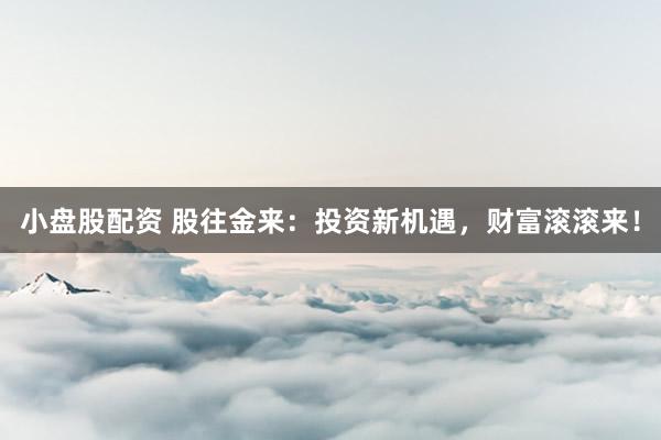 小盘股配资 股往金来：投资新机遇，财富滚滚来！