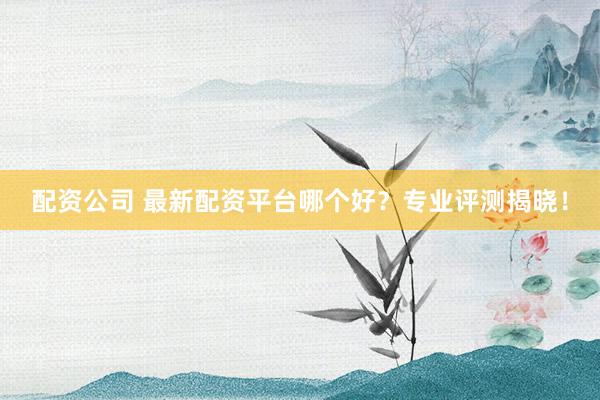 配资公司 最新配资平台哪个好？专业评测揭晓！