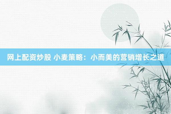 网上配资炒股 小麦策略：小而美的营销增长之道